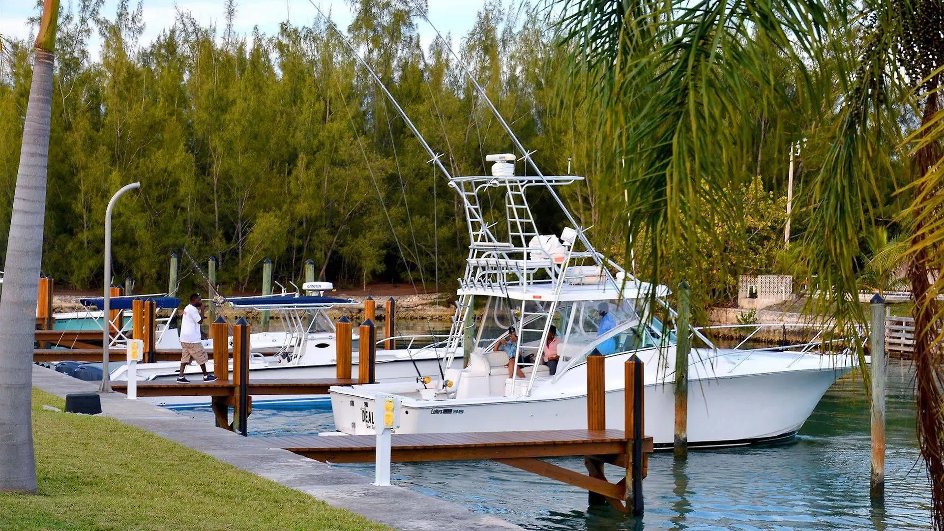 Willa Dolphin Cove (Adults Only) Freeport